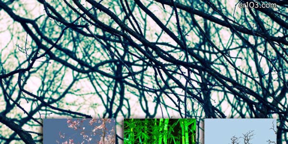 Best Free Casino Games November 2025