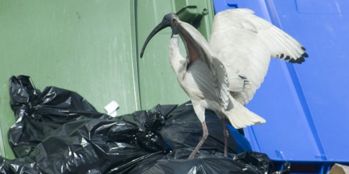 RocketPlay: Online Casino in Australia with Real Money Games