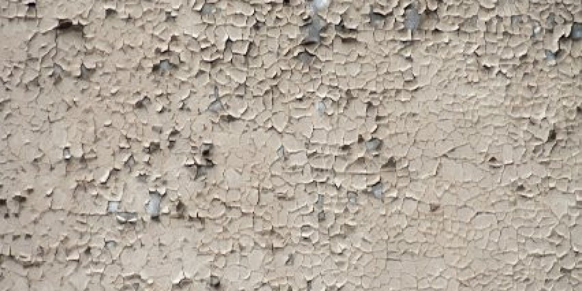 Top 5 sweepstakes casinos in November 2025: Get a free no-deposit bonus & more